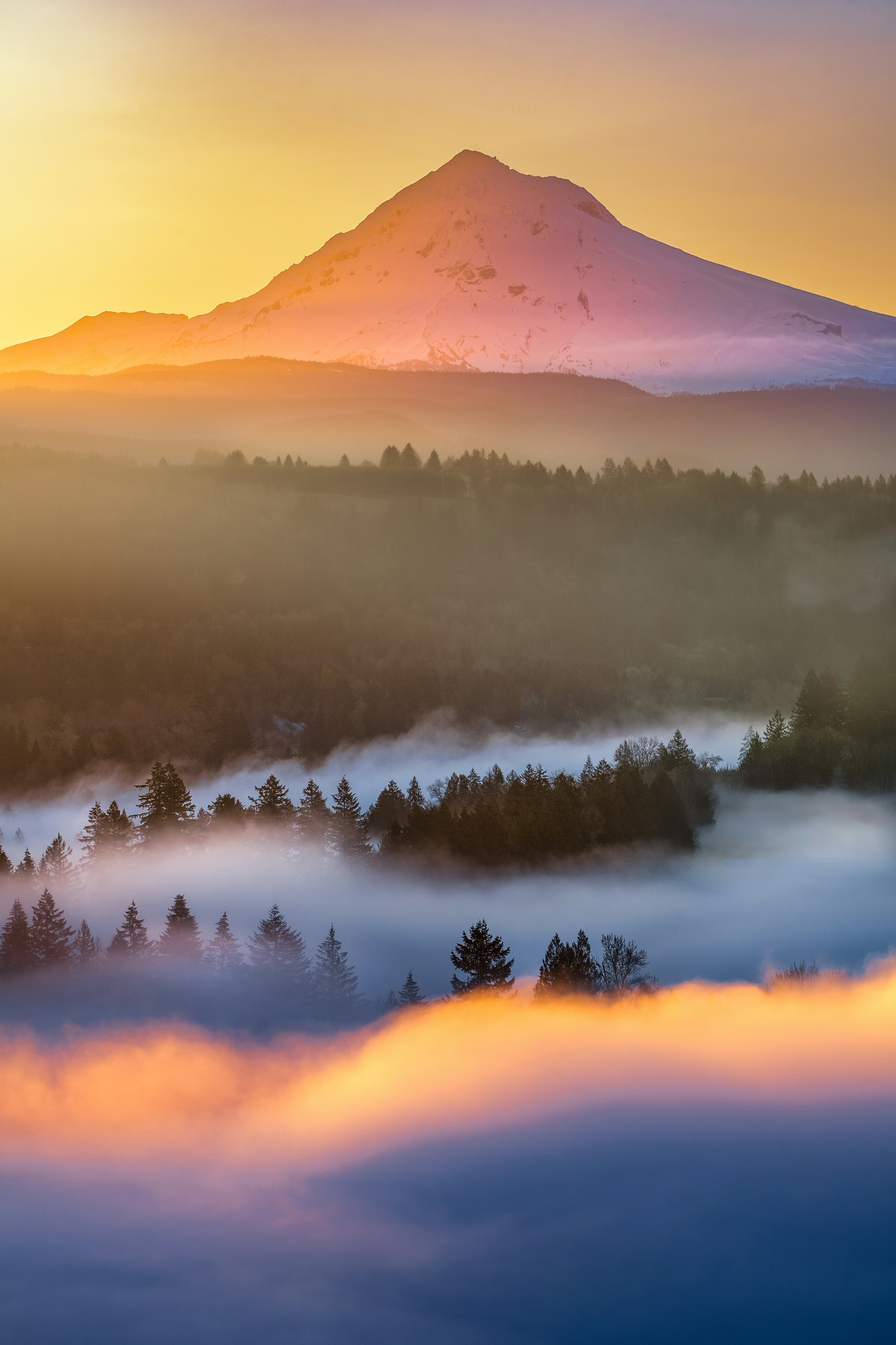 Aerial view of a river winding through Mt. Hood National Forest